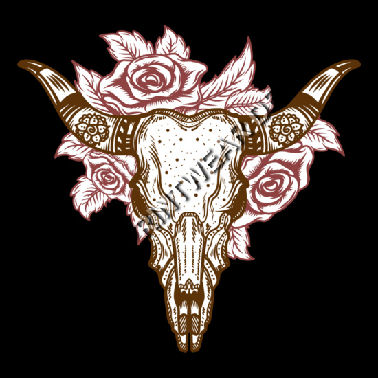 bull skull Thumbnail