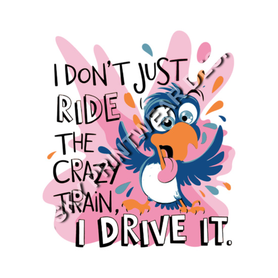 I Dont Just ride the crazy Thumbnail